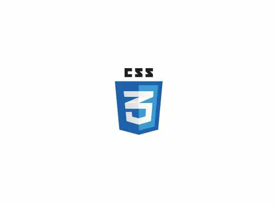 css3
